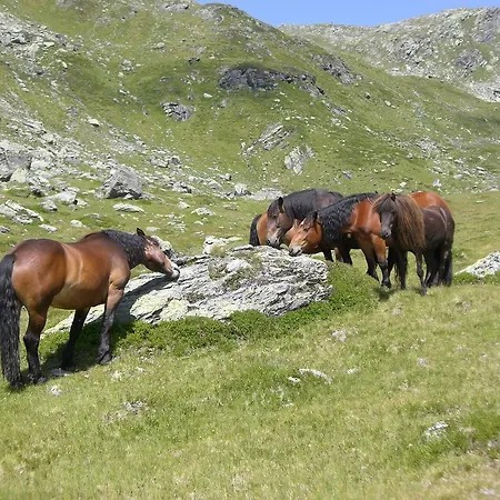 Lisa Apartmán Westendorf