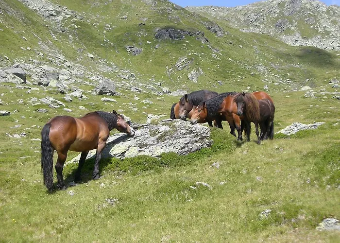 Lisa Apartamento Westendorf